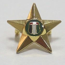 Dubai gold star pin with clutch