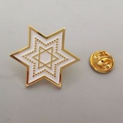 metal star shaped lapel pins with gold color