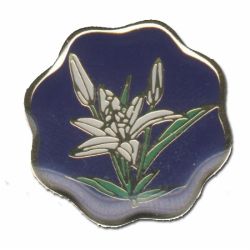 Customized shape enamel metal lapel pin with epoxy